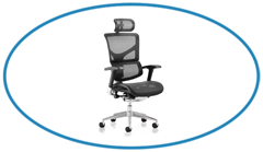 Buy Mesh Chairs Online Office Chair with Mesh texture