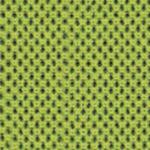 KIWI UNY05 KIWI UNY05