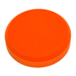 CARROT CARROT