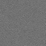 GREY GREY