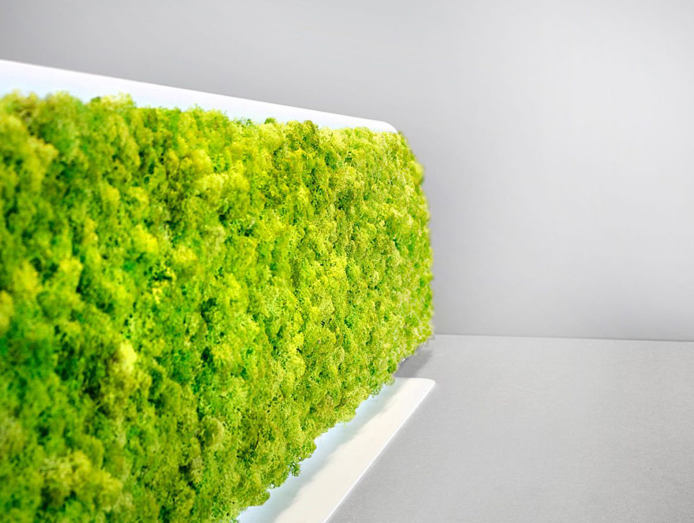 Green Mood Moss Acoustic Desk Screens Radius Office COM