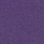 LAVENDER LAVENDER