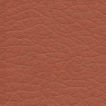 L074 BROWN L074 BROWN