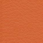 L110 ORANGE L110 ORANGE