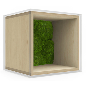Moss Back Panel Moss Back Panel