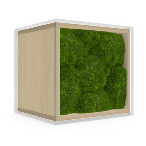 Moss Front Panel Moss Front Panel