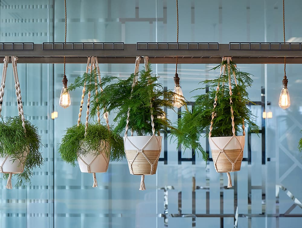Relic-Cloud-Outdoor-Themed-Meeting-Room-Table-with-Light-Hanging-Plants.jpg