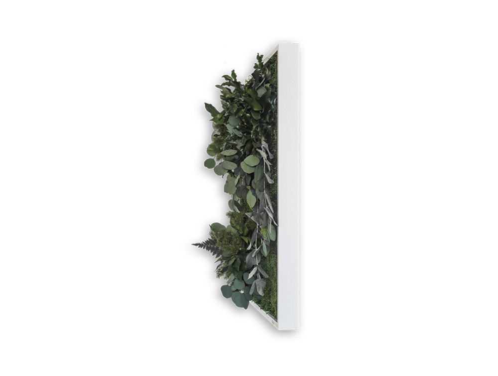 Stylegreen Island Frame