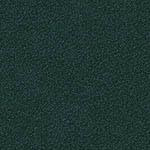 VERDIGRIS VERDIGRIS