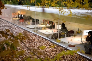 How to ‘Go Green’ Selgas Cano Forest Sustainable Office