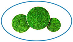Green-Office-Screens-Top-Description-Image-240×139 Green Office Screens Top Description Image 240x139
