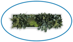 StyleGreen-Island-Plant-Frame-Top-Description-Image StyleGreen Island Plant Frame - Top Description Image