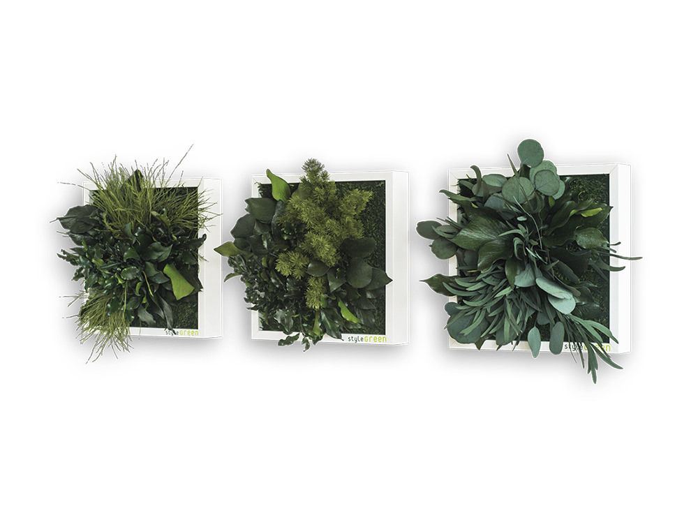 Stylegreen Plant Island Frame Set Of Three